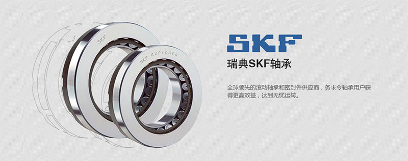 沈阳SKF轴承
