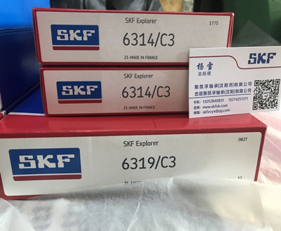 吉林SKF轴承授权经销商销售6319C3