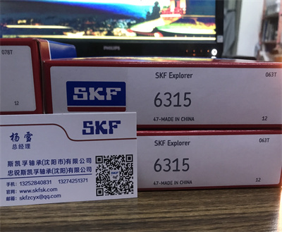 SKF轴承沈阳经销商销售6315深沟球轴承